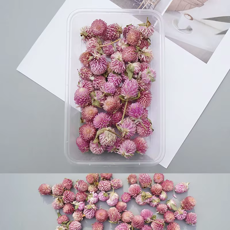 Boîte de fleurs séchées, plantes sèches pour résine époxy, moule de moulage, bricolage, bougies d'ar