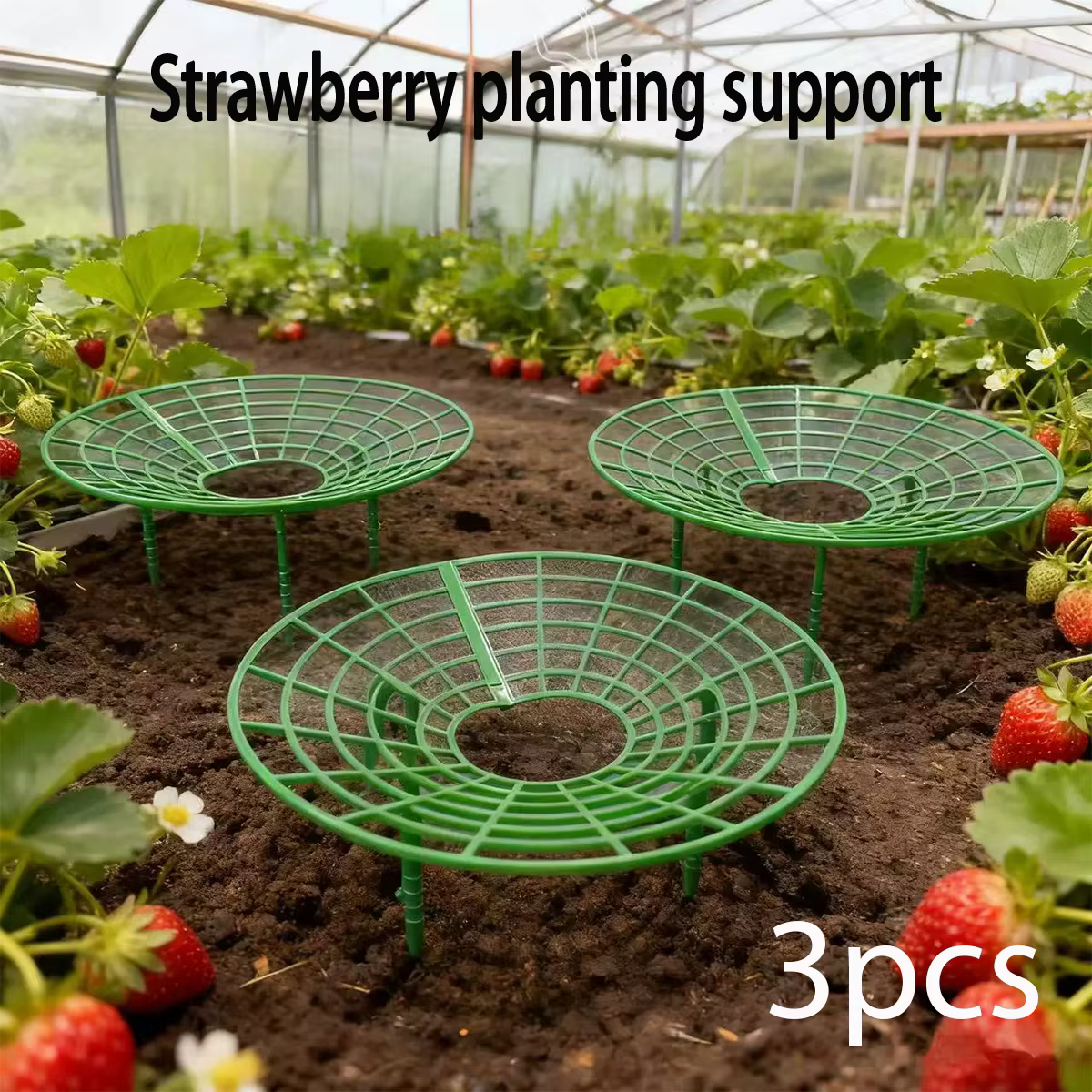 Support de culture pour fraises avec pieds, support de culture rond en plastique pour garder les bai