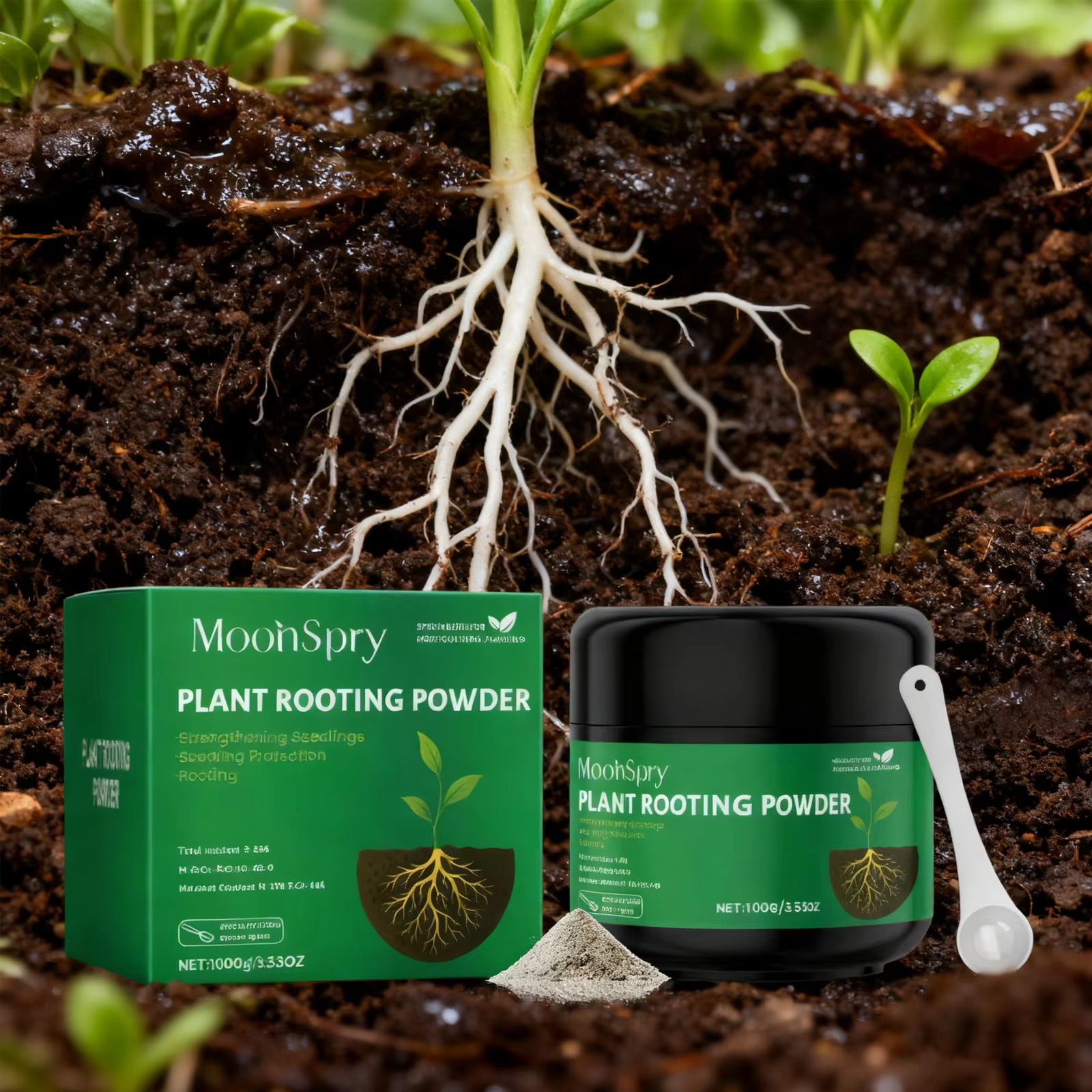 Poudre d'enracinement de plantes pour le jardinage domestique, 100g, améliore la résistance au stres