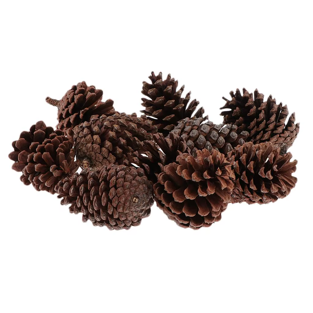 Pack de 10 pommes de pin rustiques en vrac - Ornements de pommes de pin naturelles, décoratifs