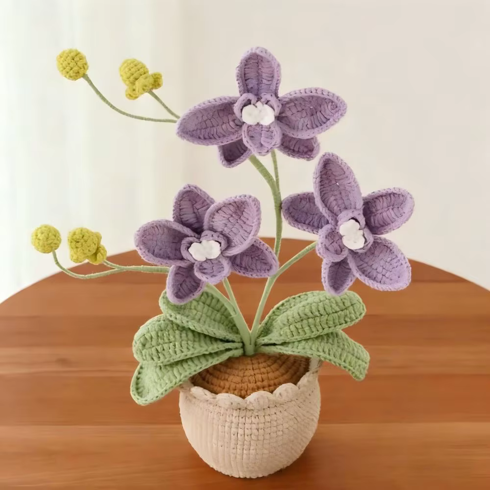 Nouvelle plante en pot en laine, orchidée à 3 têtes et 5 feuilles, faite au crochet à la main, une d
