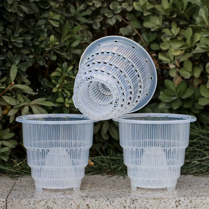 Meshpot-Pots d'orchidées transparents avec trous, jardinière d'orchidées pour le rempotage, petits p