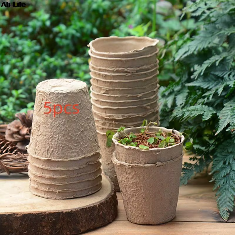 Petit pot de fleur carré avec humidité, pot de pépinière, pot de jardinage transparent breton, pots 