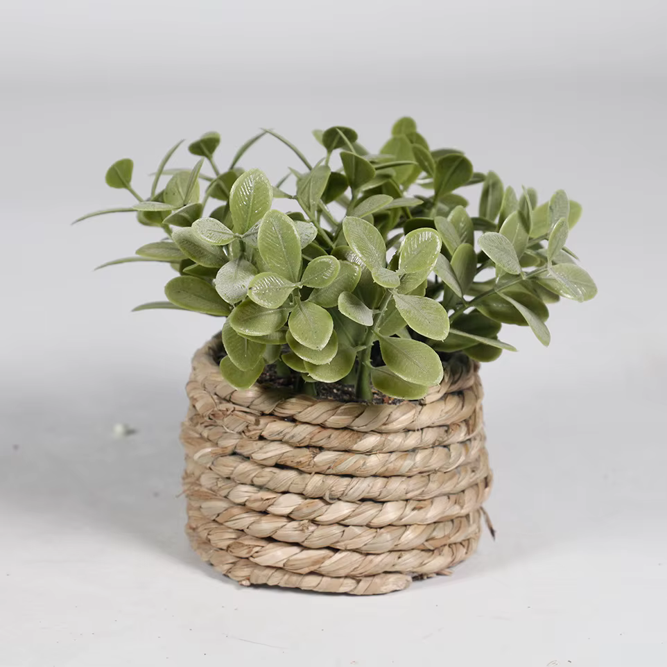 Plante artificielle verte en pot, 11cm, eucalyptus, enge, plantes artificielles en pot, cuir chevelu