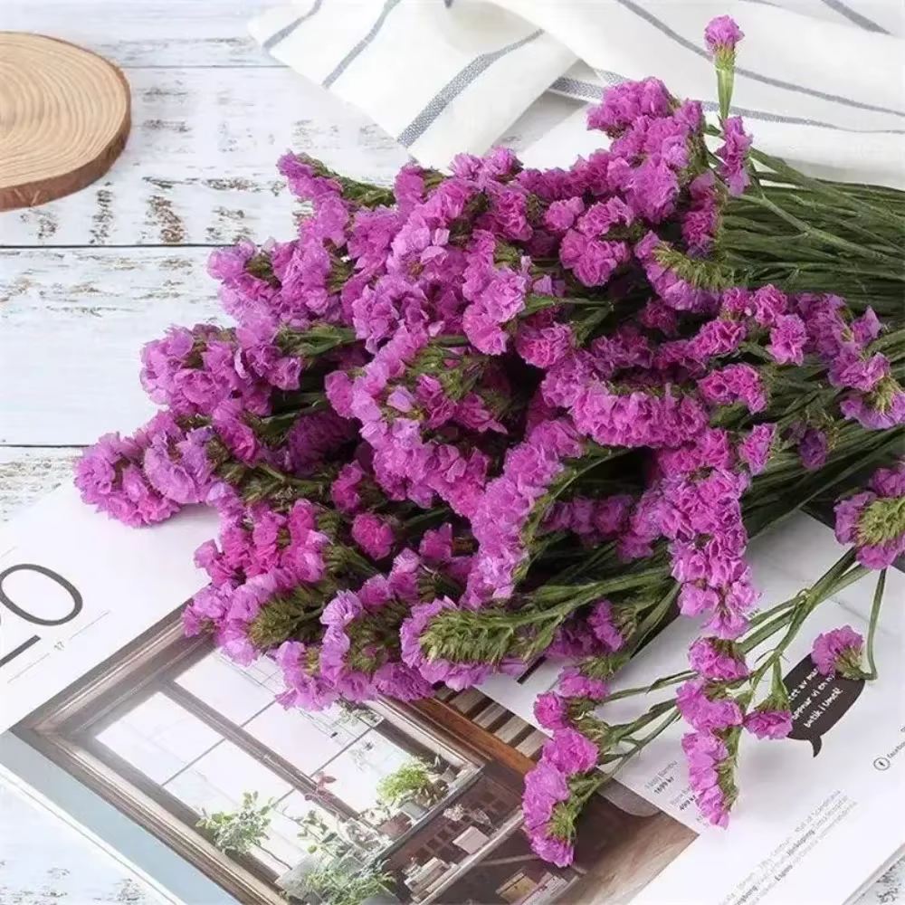 120g fleurs séchées naturelles oubliez-moi pas Bouquets décoration de mariage fleurs artificielles b
