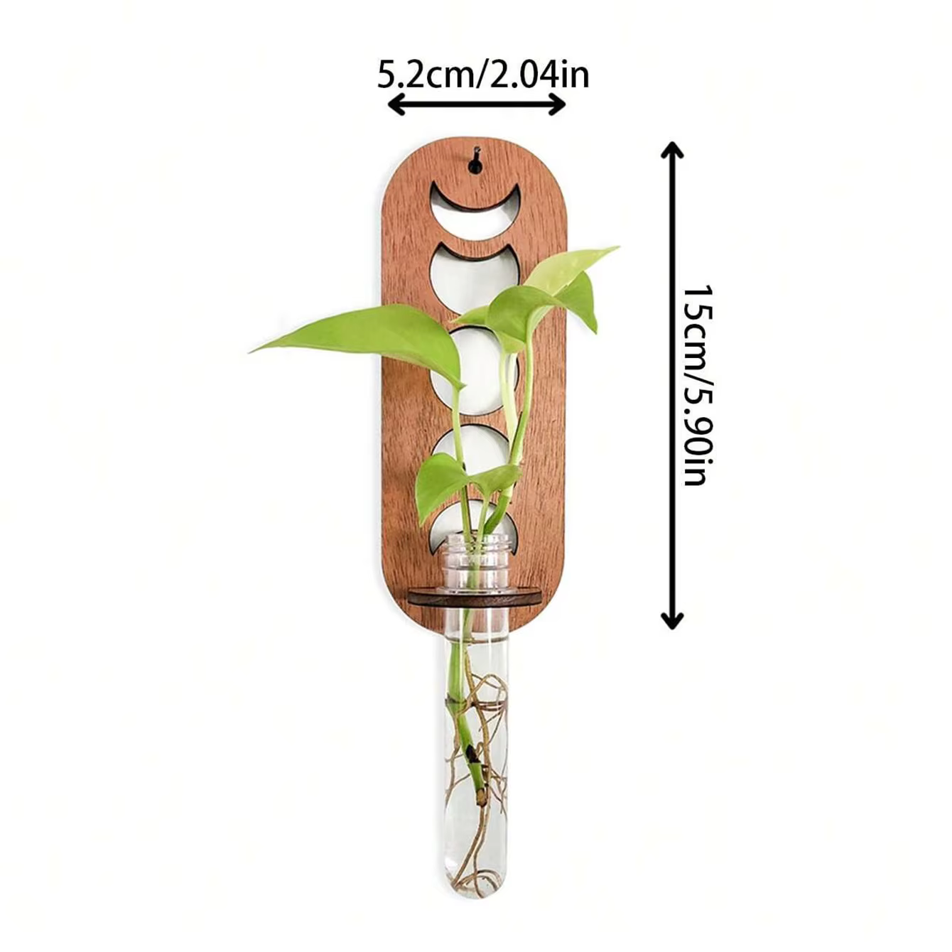 Station de propagation de plantes, terrarium pour plantes avec support vertical en verre pour la déc