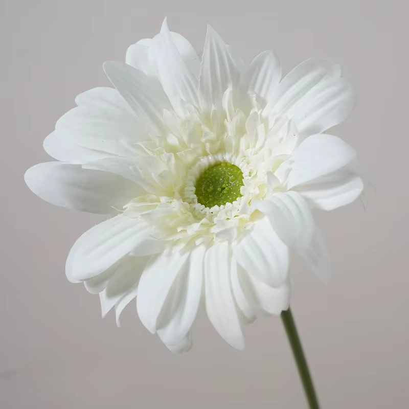 Gerbera artificielle de 14,6 pouces, décoration bohème pour la maison, arrangement floral mural pour
