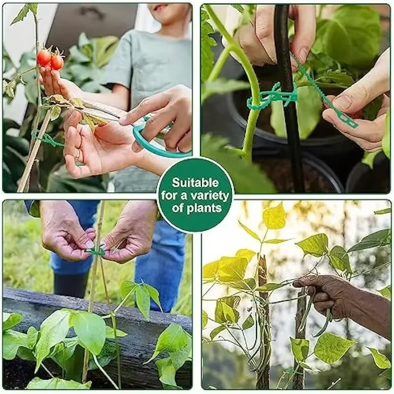 Attaches de câble de jardin réutilisables, plantes, vigne, arbustes, Support de fixation, verrouilla