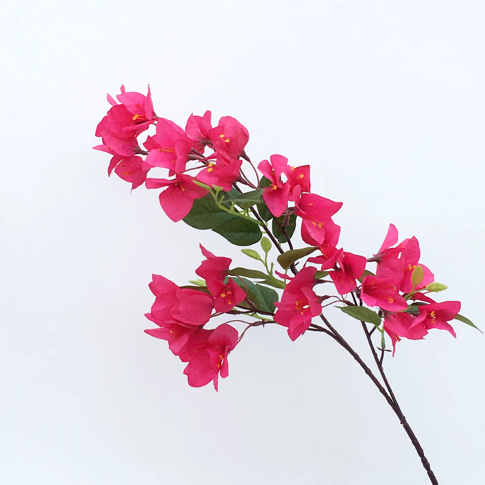 Bougainvillea fleurs artificielles en gros mariage maison projet paysage photographie décoration