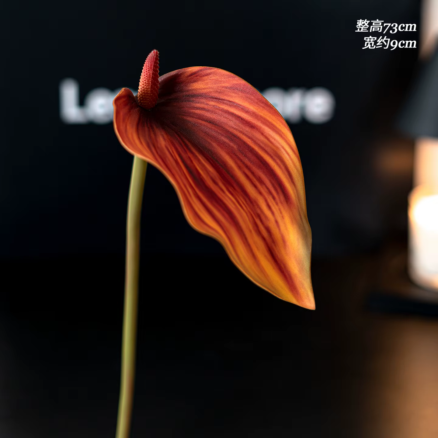 10 pièces EVA 3D impression paume artificielle Anthurium plantes fleur branche bricolage décoration 