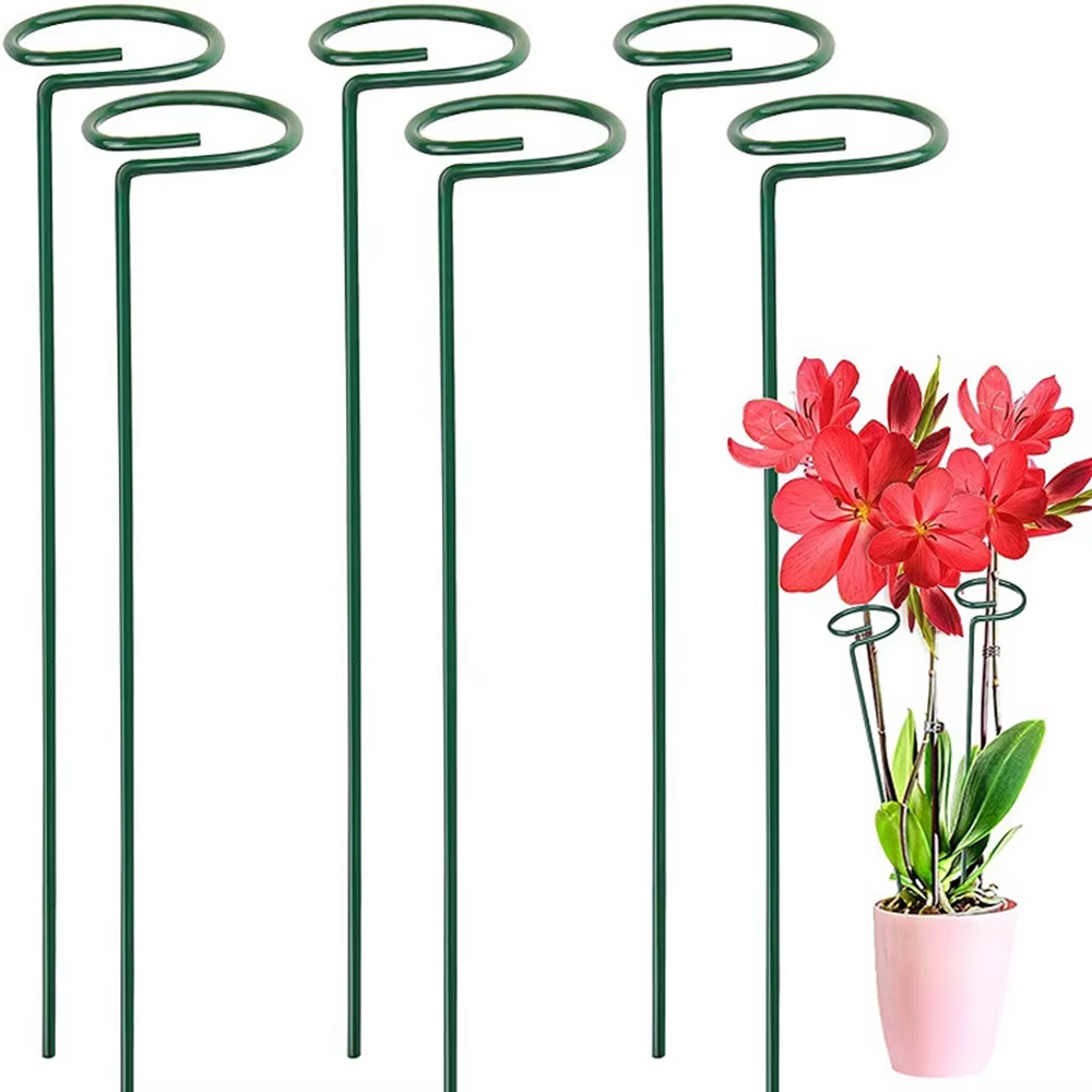 Bâtons de Support pour plantes grimpantes en pot, 10 pièces, treillis intérieur et extérieur, tige d