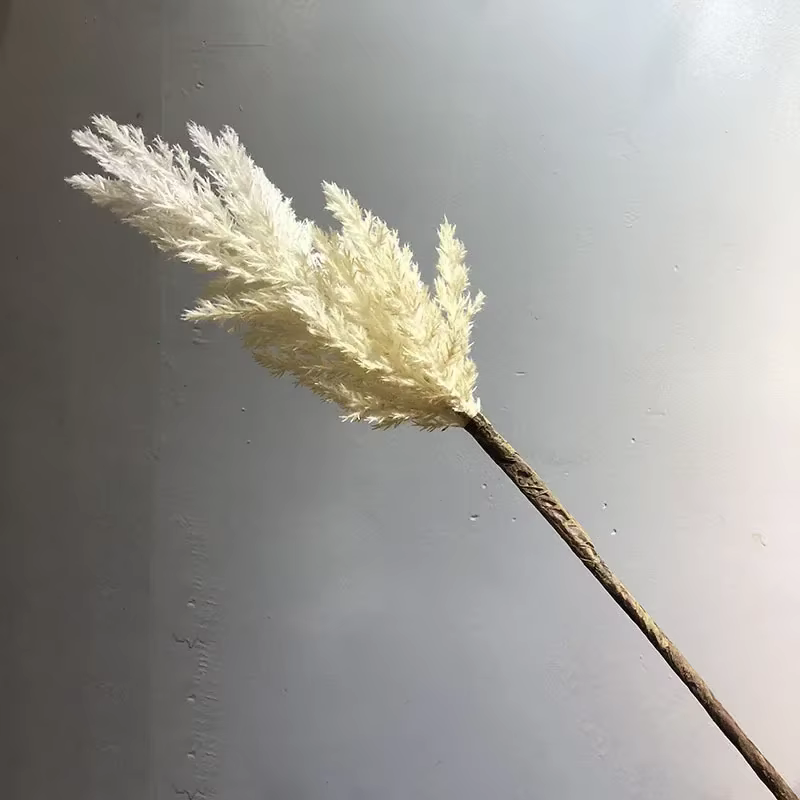 Ensemble de roseaux artificiels pour la décoration intérieure, plantes décoratives, simulation de pl