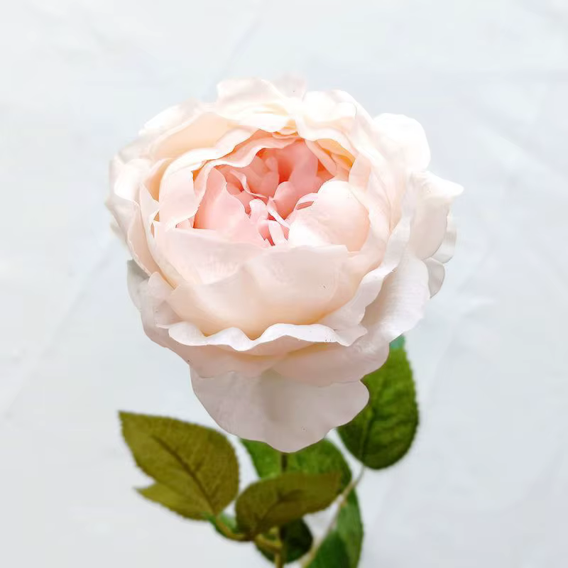 Fleurs de pivoines artificielles nouvelle collection hydratant toucher réel décoration de maison sal