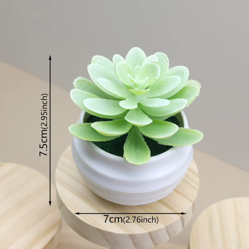 Bassin blanc en plastique de plante verte succulente artificielle, rebord de fenêtre de maison, bure