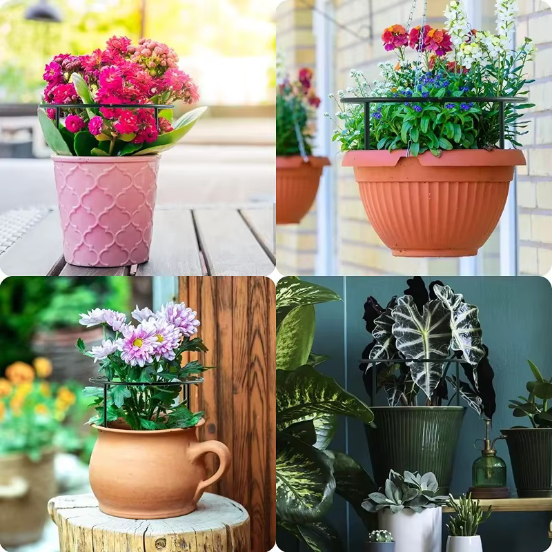 Support pour plantes épissées, 2 tailles, support pour orchidées monocouche, multi-viande, Support p