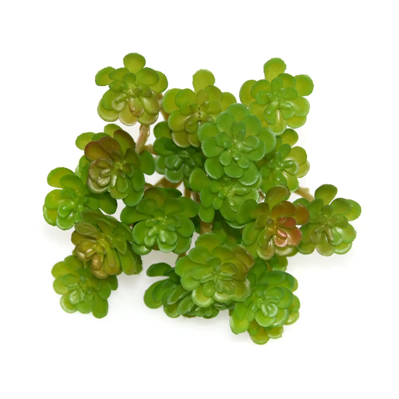 12 pièces de plantes artificielles en plastique, petites succulentes, décoration florale de mariage,