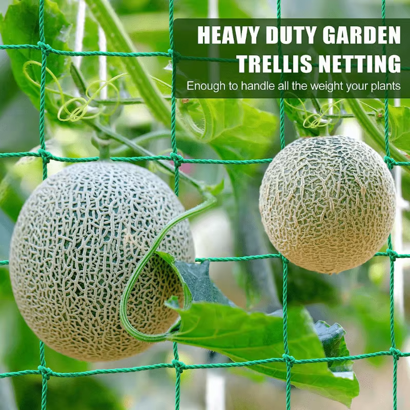 Maille de jardin robuste, parfaite pour grimper des plantes telles que concombres et tomates, maille