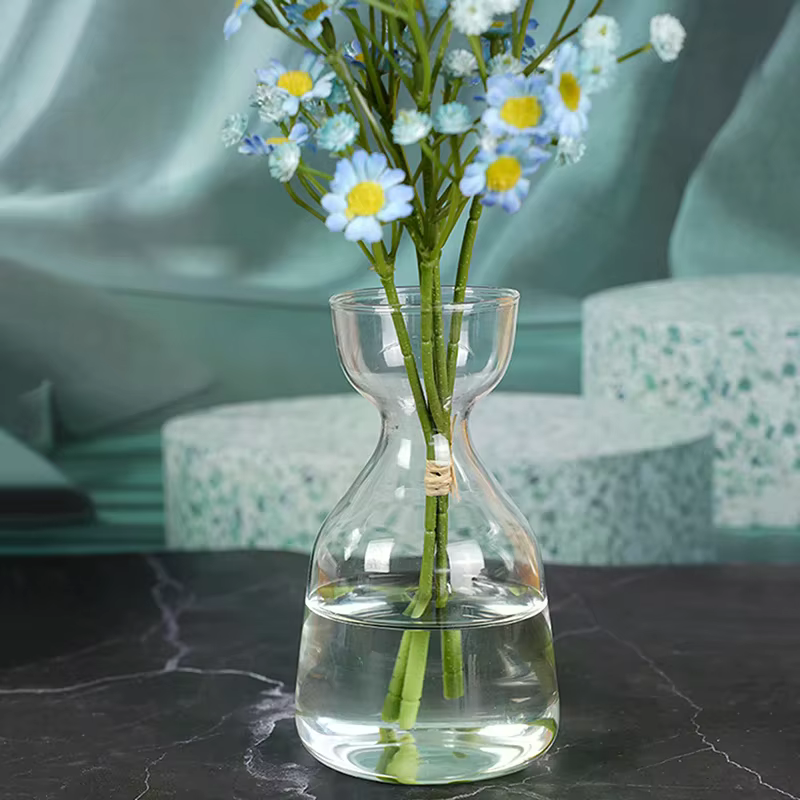 Vase transparent en verre pour semis d'avocat, kit de culture de graines en verre pour les amateurs 