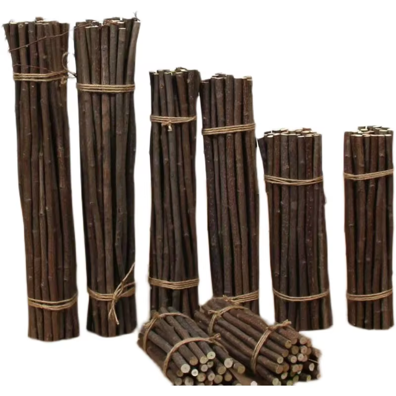 Brindilles de bouleau naturel, bâtons de bûches en bois, Branches sèches pour projets artisanaux, ac