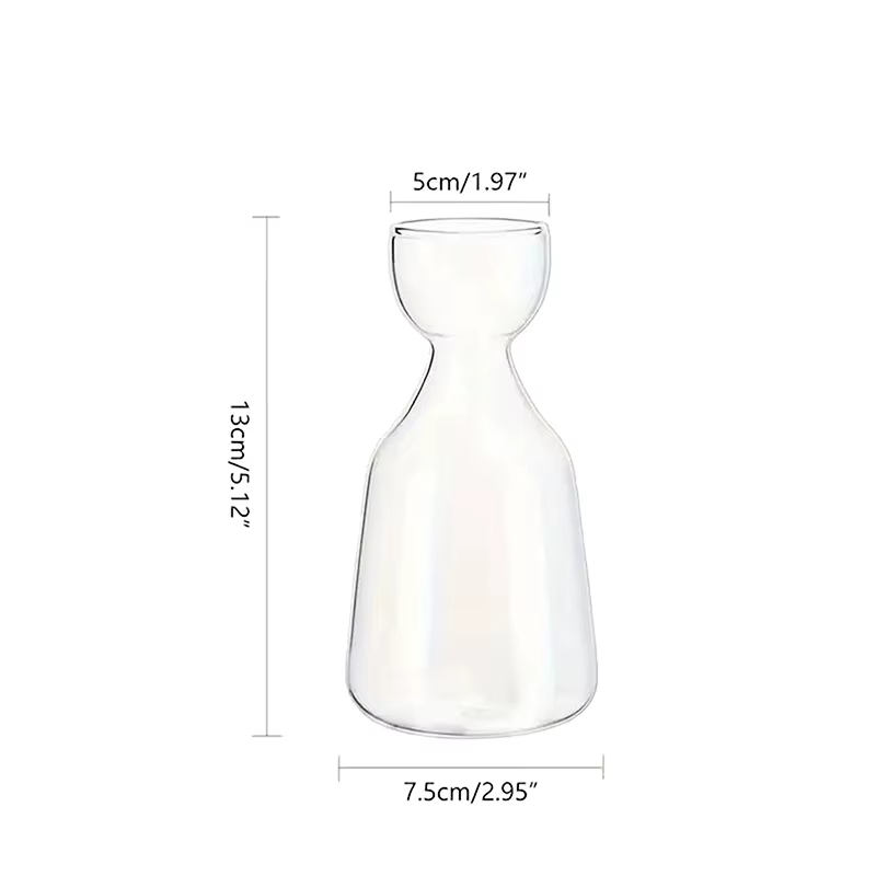 Vase de démarrage de graines d'avocat, Vase en verre Transparent pour plantes en croissance, Kit de 