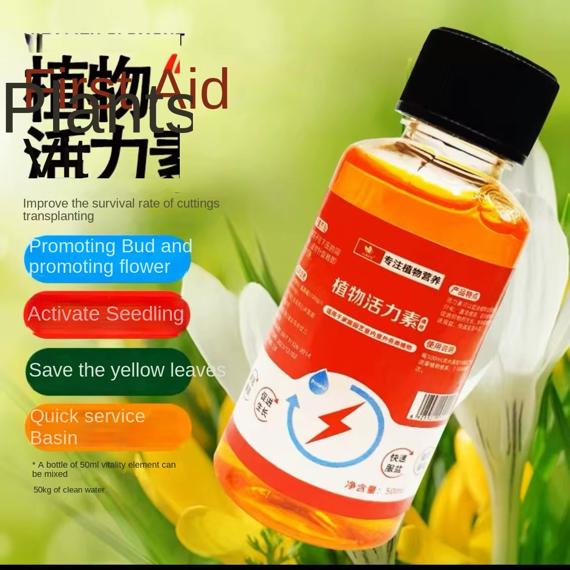 Plante succulente de 300ml, favorise le bourgeonnement, la graisse naine, prévient les granules orga