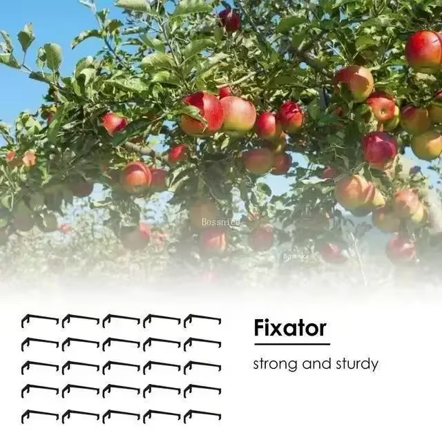 Clips pour arbres fruitiers, Support de vignes, façonneurs torsadés, extracteur de Branches, outils