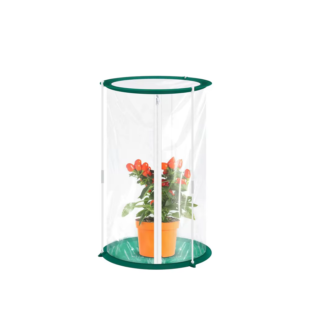 Mini serre coupe-vent en PVC transparent pour plante, fleur, insecte, facile à utiliser, fournitures