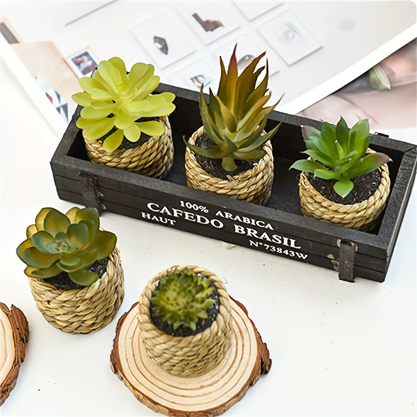 Ensemble de plantes artificielles en pot, 5 pièces, fausses plantes succulentes artificielles à l'al