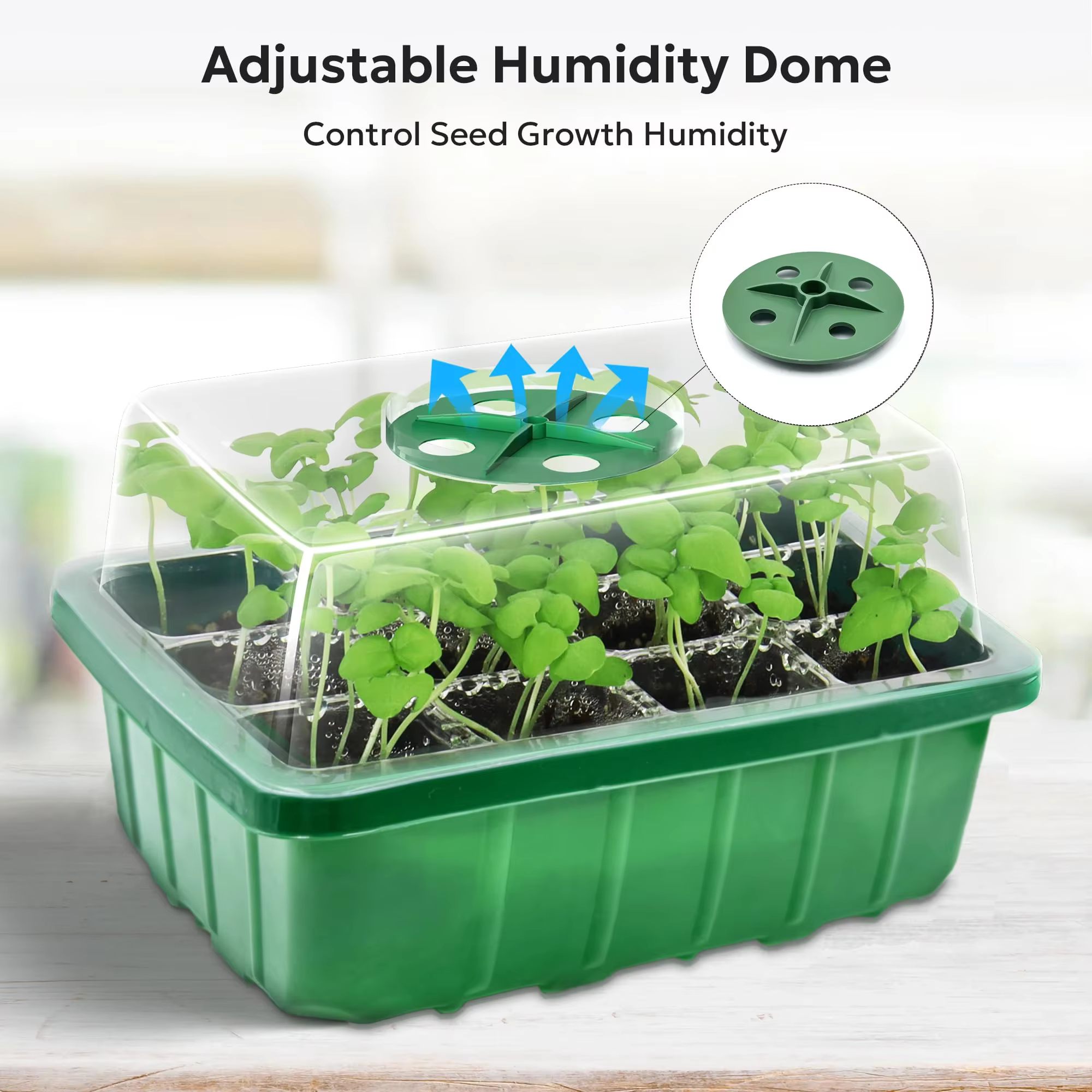 Plateau de démarrage de graines, Kit de démarrage de plantes et Base, Mini Kit de Germination de ser