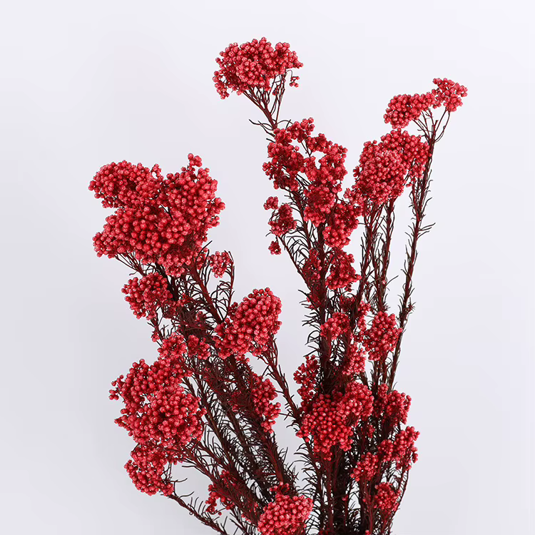 Bouquet de Fleurs de Riz Éternel Naturel, Bougie DIY, Accessoires en Résine pour Salon, Maison, Déco