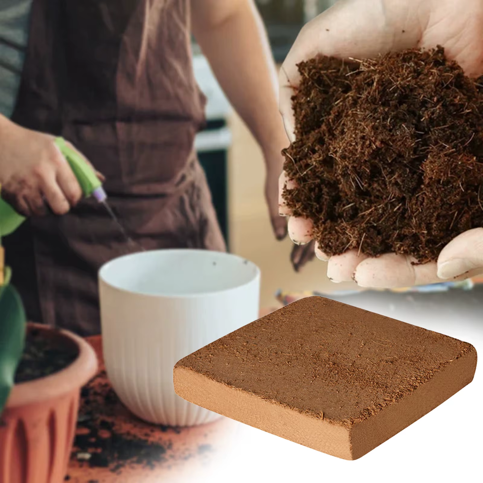 Substrat de terrarium en fibres de coco