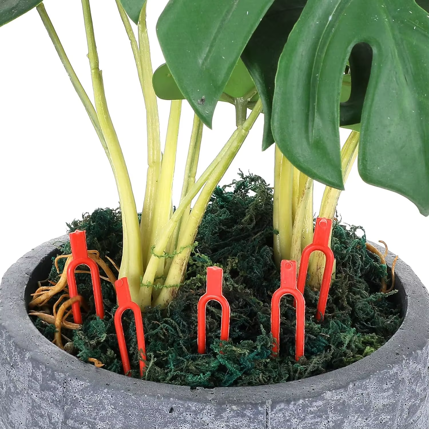 Épingles et clips de jardinage en plastique pour plantes grimpantes