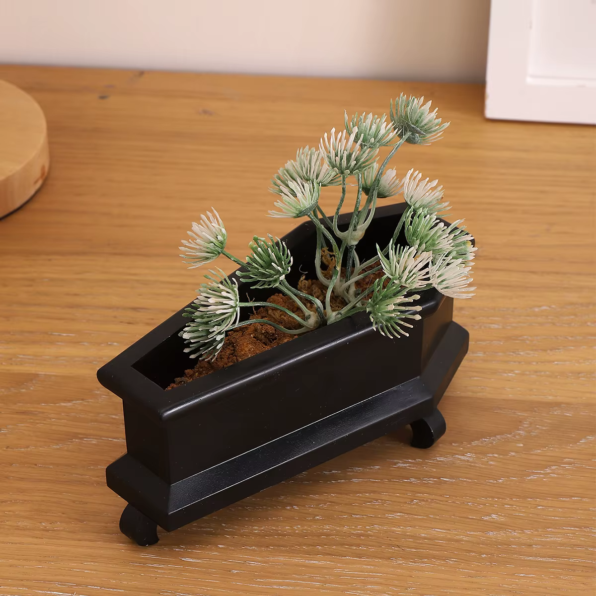 Mini planteur de cercueil