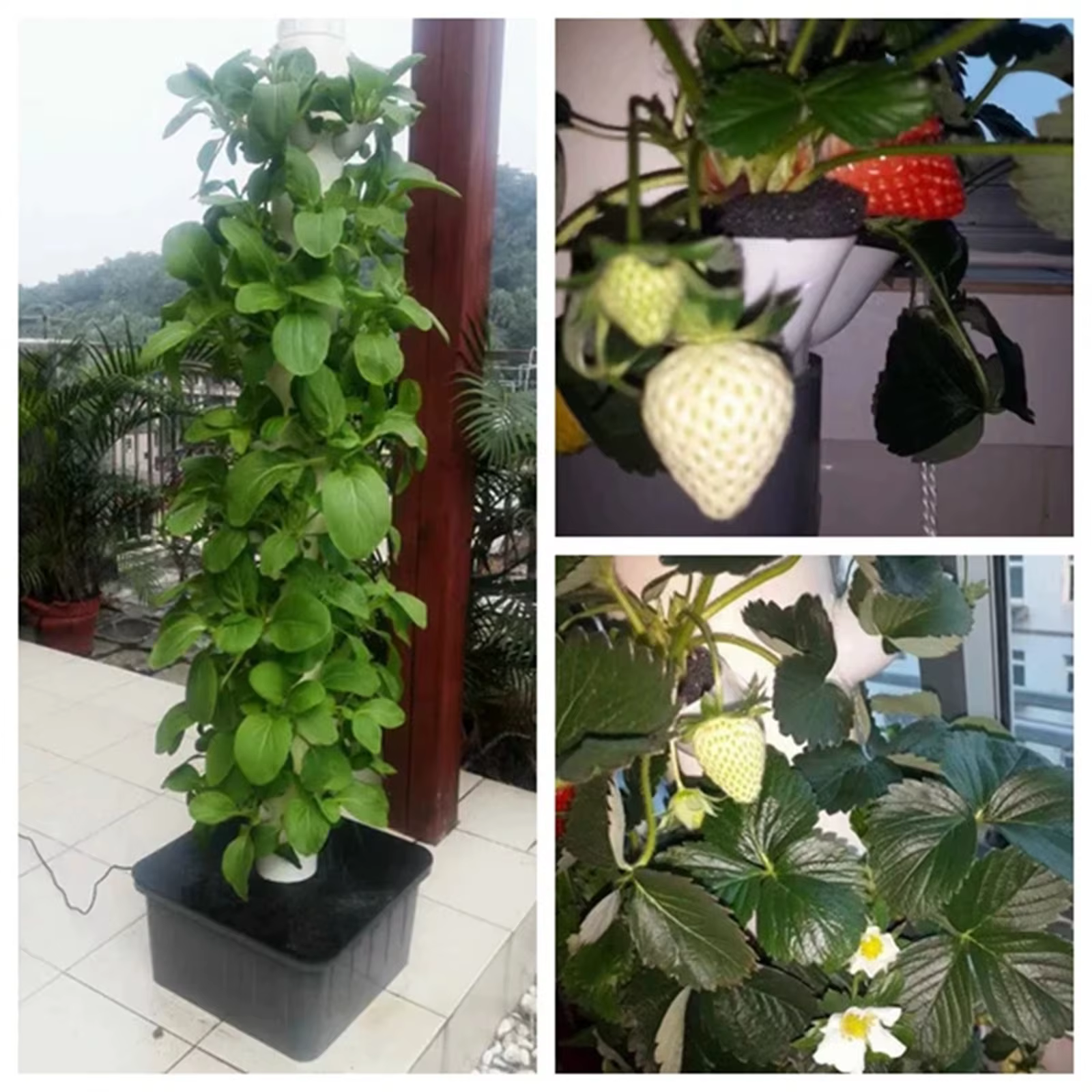 Jardinière verticale à haut rendement