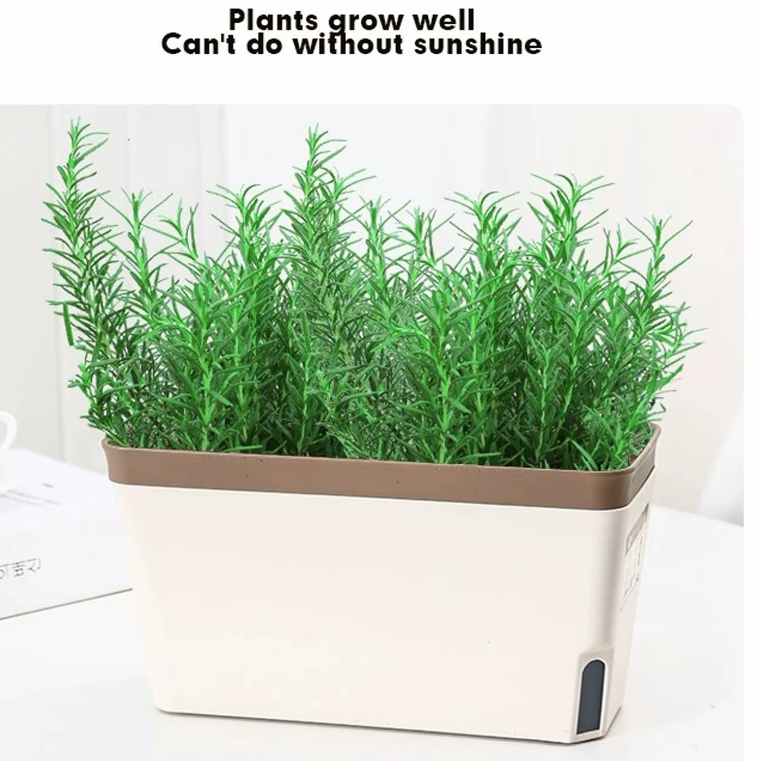 User inière rectangulaire décorative pour plantes d'intérieur