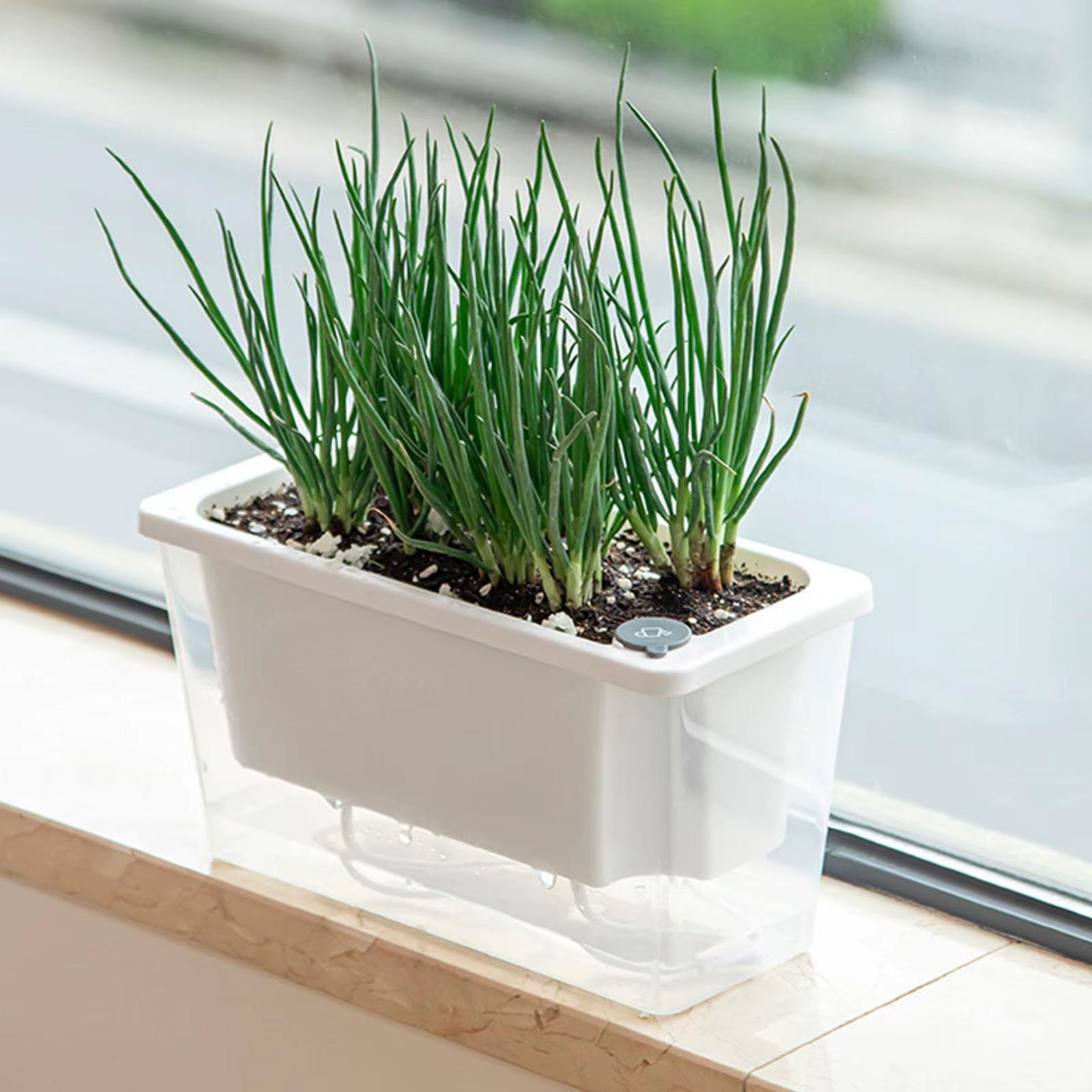 Pot de fleurs auto-arrosage pour balcon