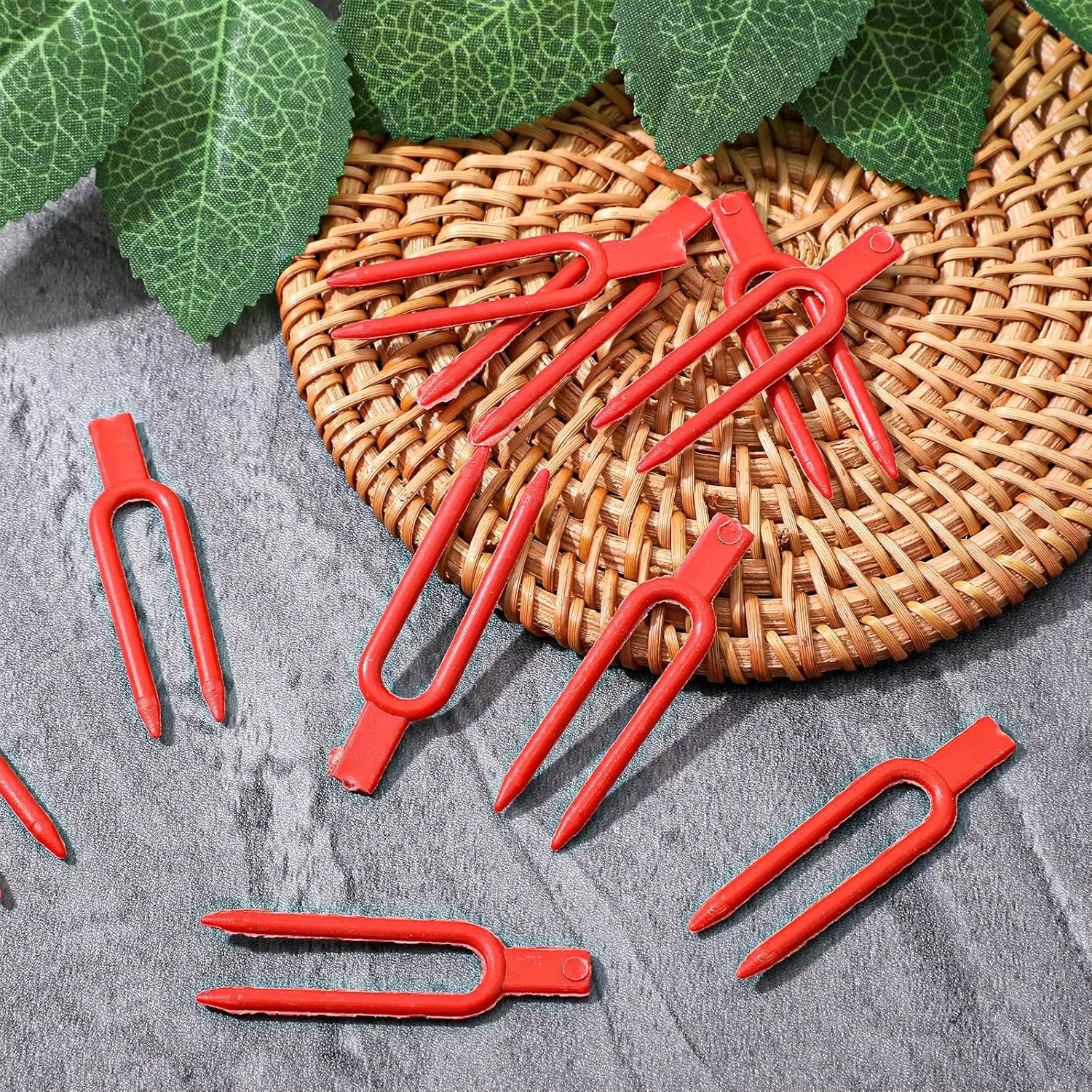Épingles et clips de jardinage en plastique pour plantes grimpantes