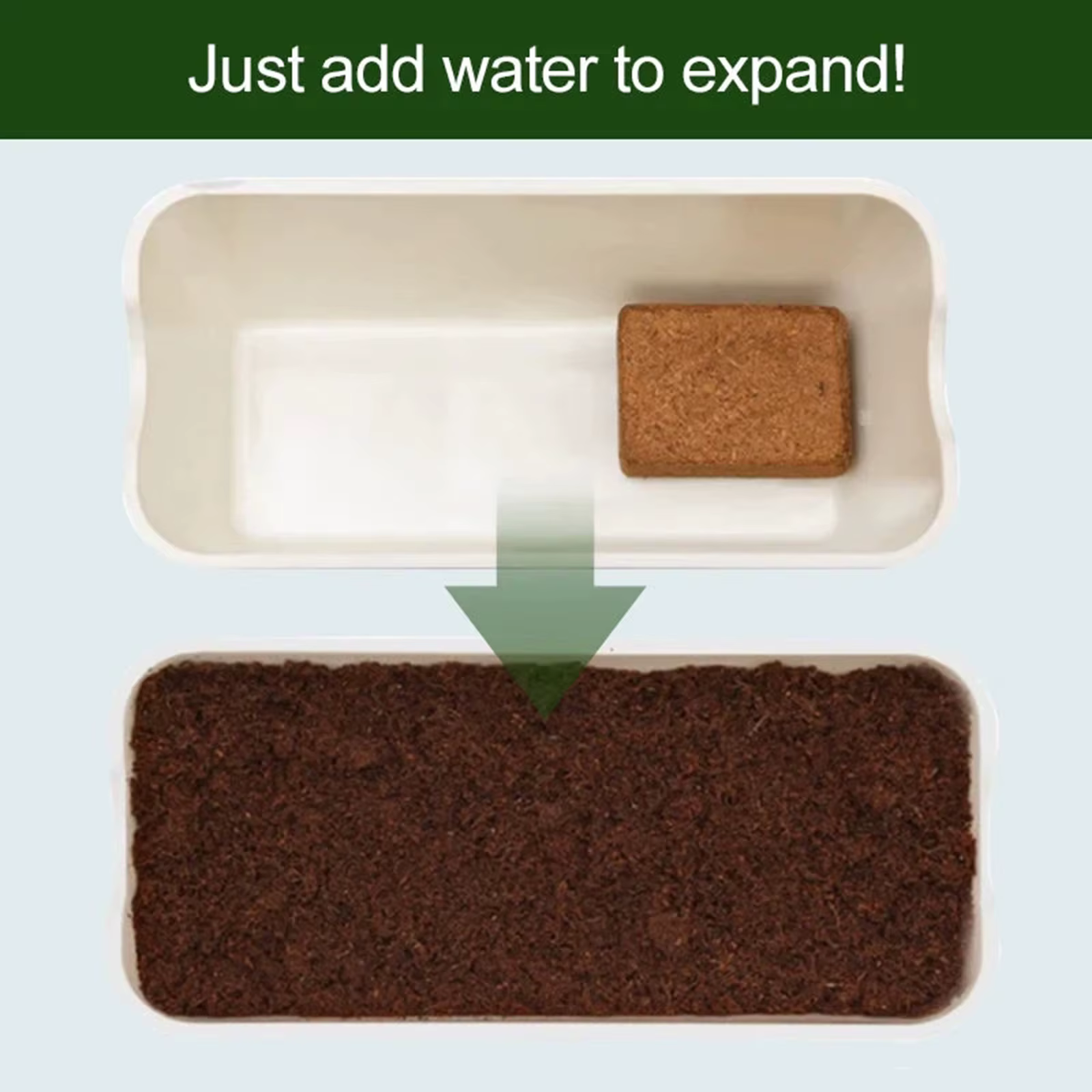 Substrat de terrarium en fibres de coco