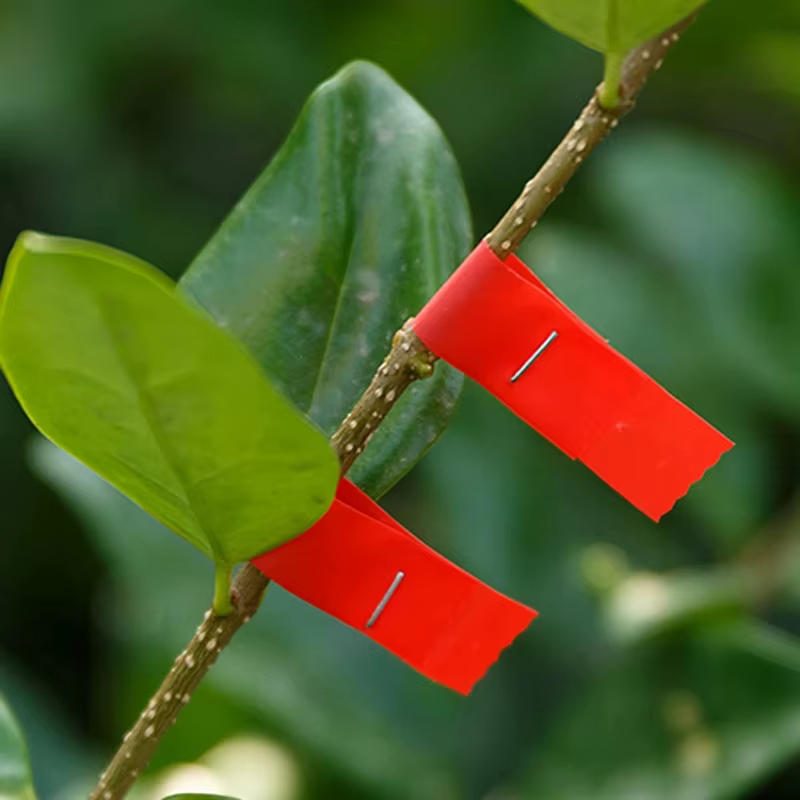 Tapetool pour plantes de jardin
