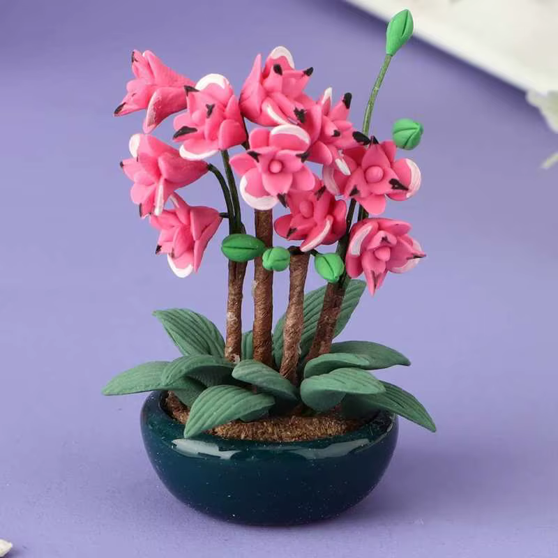 Mini Arbre Miniature en Pot pour Plante Verte
