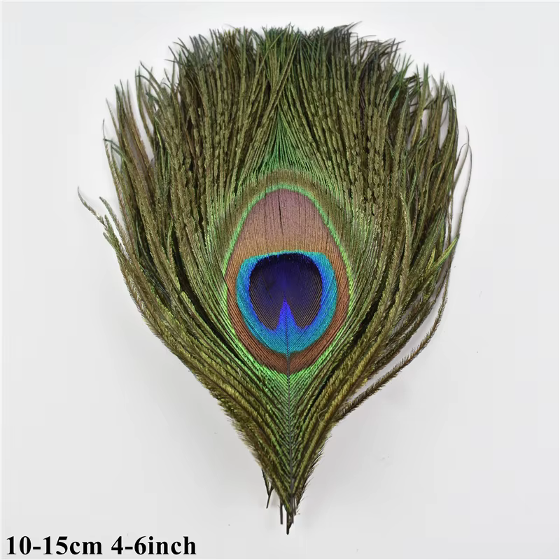 Plumes de paon naturelles