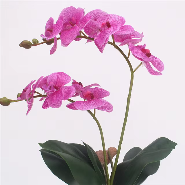 Fleur artificielle Phalaenopsis à 2 branches de 60 cm