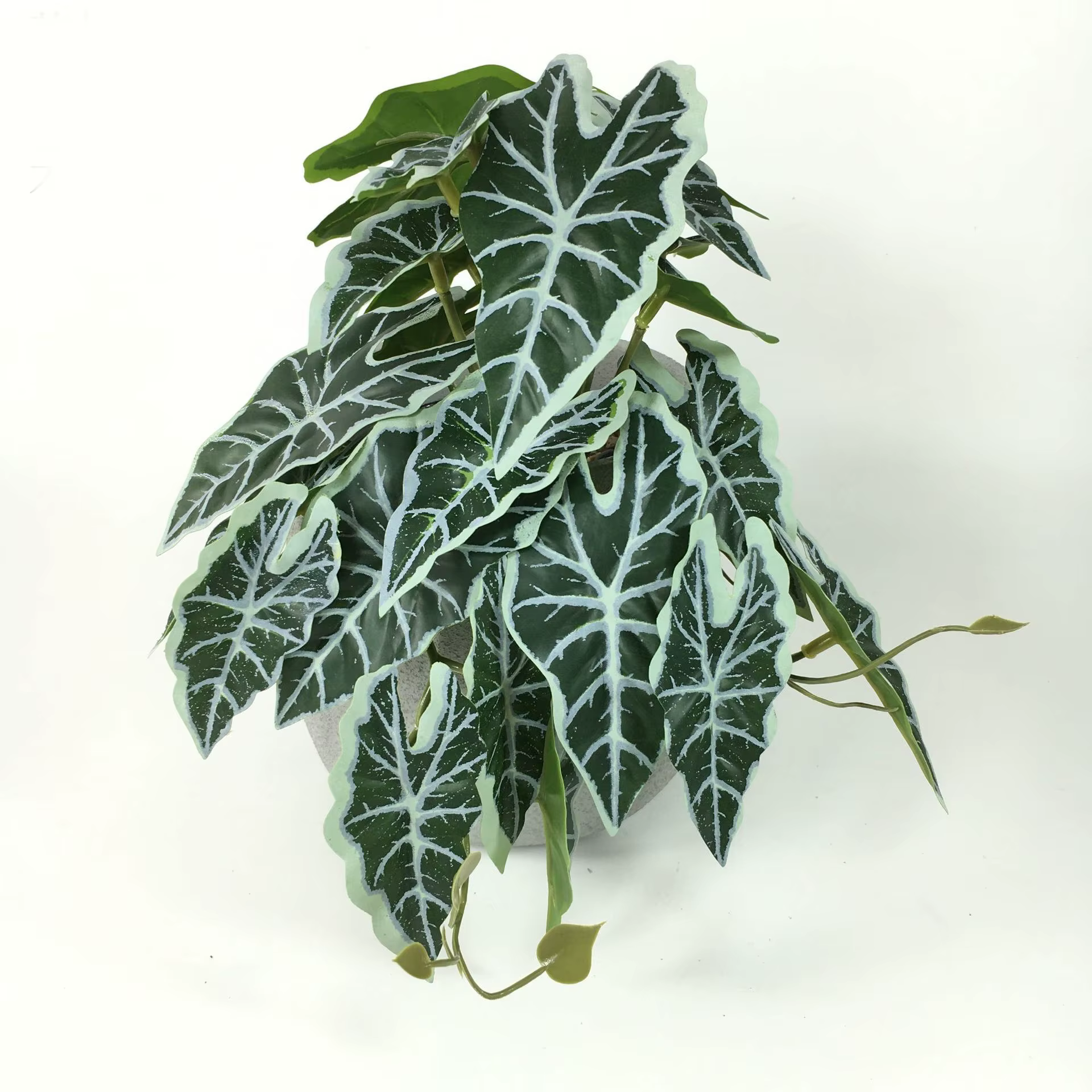 Plantes artificielles : Vigne