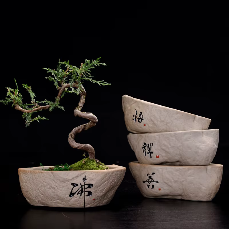 Pot de fleurs pour plantes hydroponiques Non poreuses