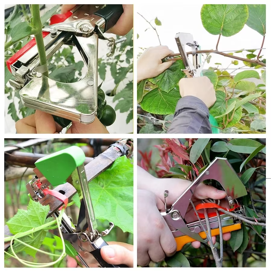 Tapetool pour plantes de jardin