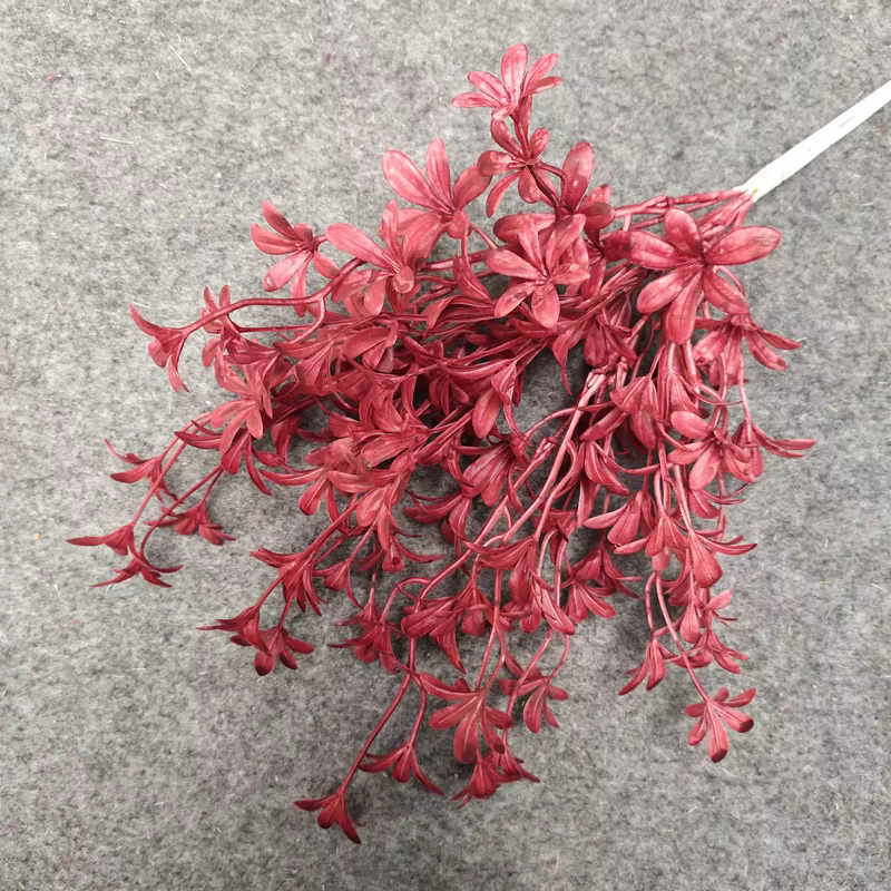 Simulation de fleur, petit rêve