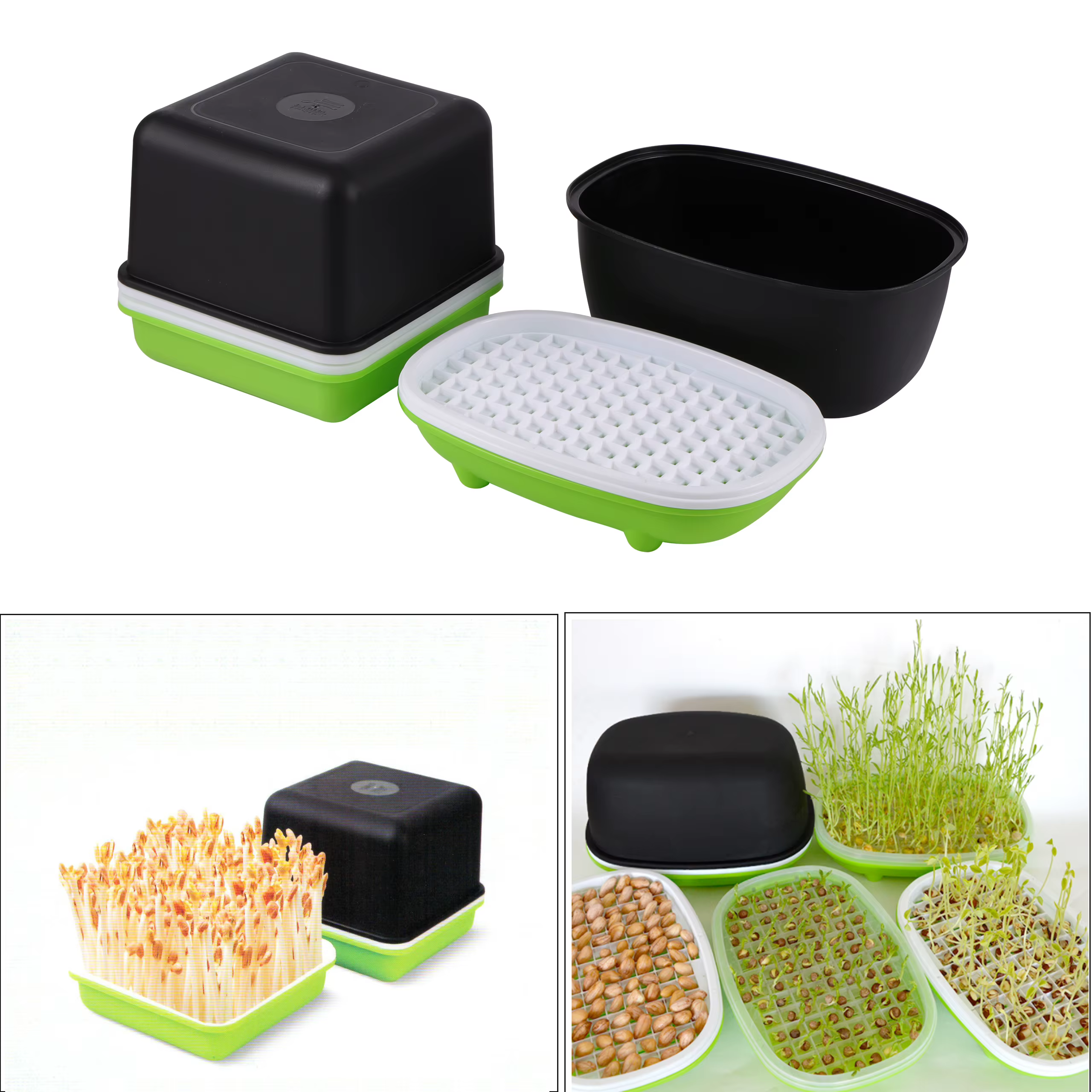 Boîte hydroponique pour germer des cacahuètes