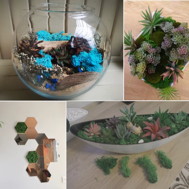 Simulation de plantes, vie éternelle