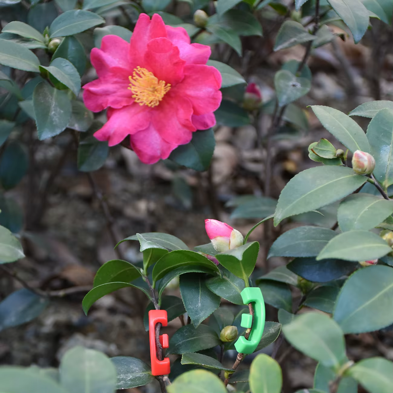 Vignes de plantes en plastique résistantes à 90 degrés