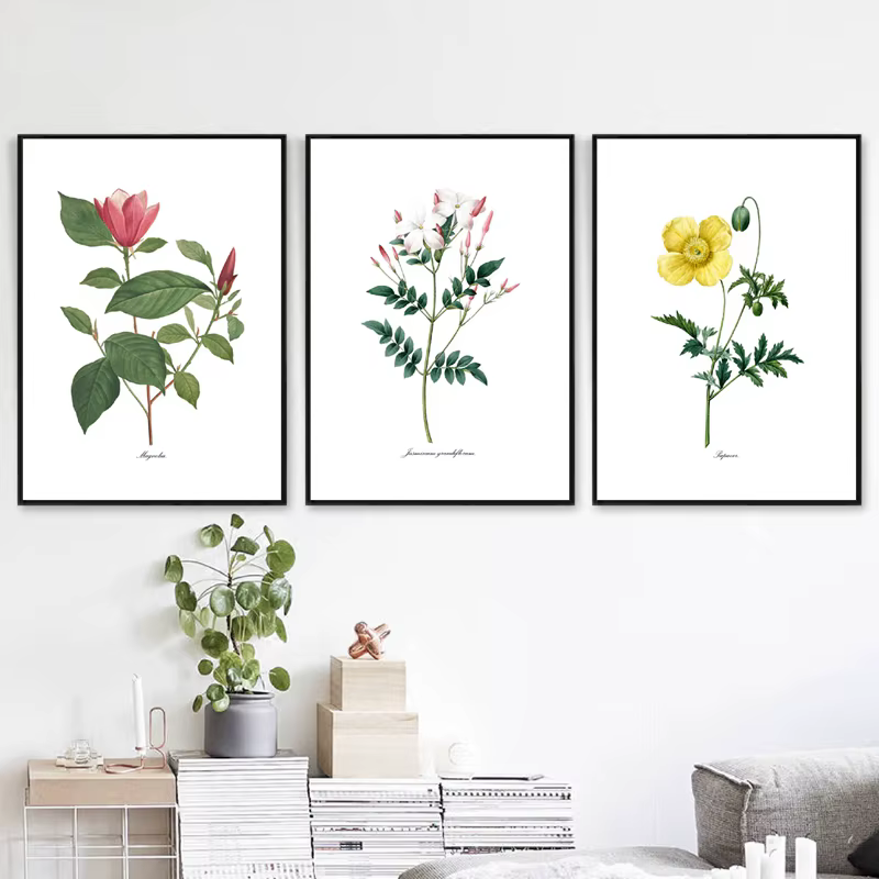 PJ. Affiches et imprimés Vintage de fleurs de Redoute